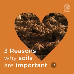 3 دلیل اهمیت خاک